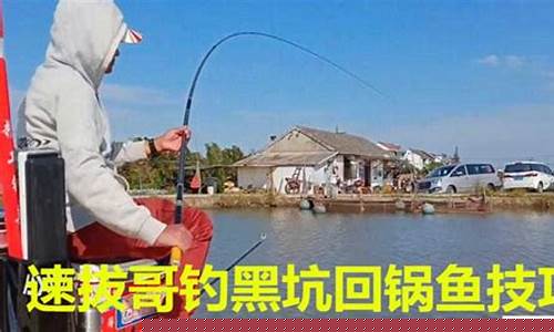 鯉魚(yú)黑坑偷驢技巧詳解